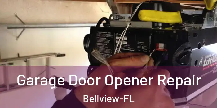 Garage Door Opener Repair Bellview-FL