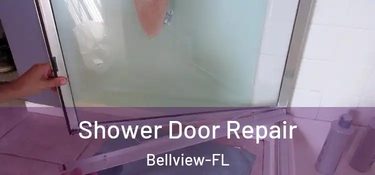 Shower Door Repair Bellview-FL