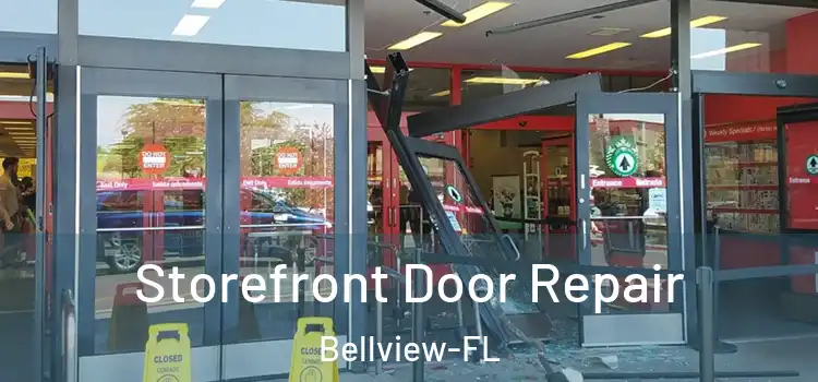 Storefront Door Repair Bellview-FL